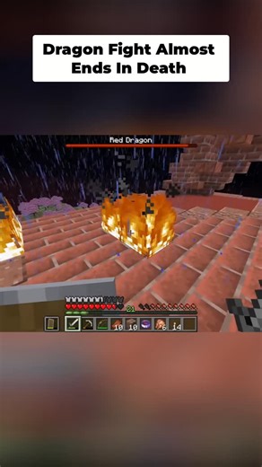 pufferfish81 on Instagram: "Epic Minecraft Dragon Fight! Will I survive? Check out my main YT channel @PuffsGaming81 #horrorminecraft #minecraft #puffsgaming81"