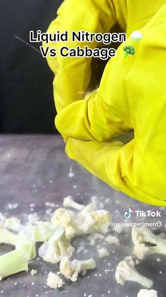 What happens when cabbage 🥬 meets Liquid Nitrogen 🌧️ ? 😳🥶#liquidnitrogen #experiment #science #asmr