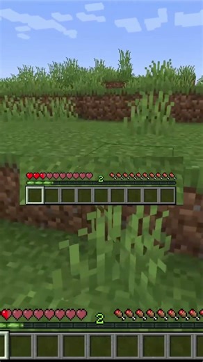 Stamina #minecraft #gaming #games #minecraftmods #mods