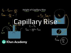 Capillary rise | Mechanical properties of Solids | Grade 11 | Physics | Khan Academy