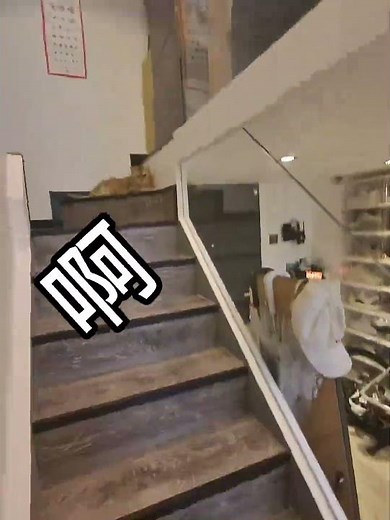 【#PuPu噗噗】小小虎先锋,轻松拿捏 #猫咪的迷惑行为 #铲屎官的乐趣 #黑神话悟空 #虎先锋