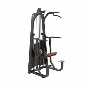 [Hot Item] Future Factory Price High Quality DIP/Chin Assist