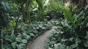 Thailand forest walk - Walking through the forest in Thailand (Jim Thompson Museum)