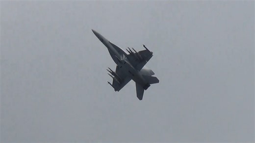 Watch this F-18 pull a cobra attempt - "What did we just see"