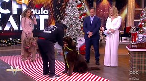 42K views · 1.1K reactions | THE VIEW'S POOCH PAGEANT! We're finding out which one of our co-hosts' dogs is really best in show with the help of our sponsor Nulo Pet Food, a dog and cat food brand that's making pet health a priority and combatting the prevailing “fast food” approach to pet food. | The View | Facebook