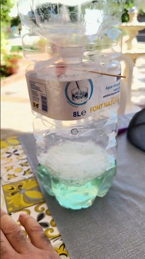 How to avoid wasp stings. How to catch wasps. Wasp trap #wasps