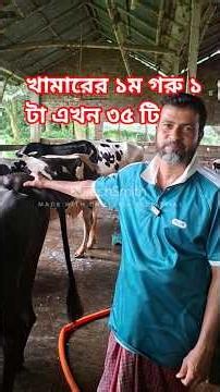 🐄 ১টি জার্সি গরু থেকে আজ ৩৫টি গরু! 😲 ওহিদের খামারের সফলতার গল্প #Shorts