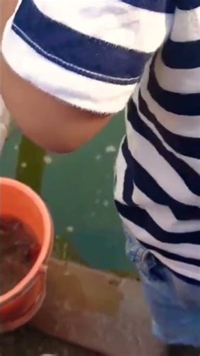 Crayfish fishing (Zarigani-tsuri) #Orange Shiroyama #Trendy #ViralShort @Shie0219