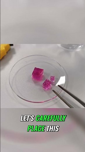 Diffusion Experiment Using Agar Cubes #chemistry #gcsescience