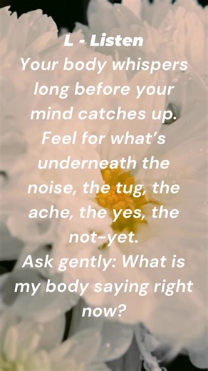 The B.L.O.O.M.™ Process A return to the body. A soft unravelling. A...