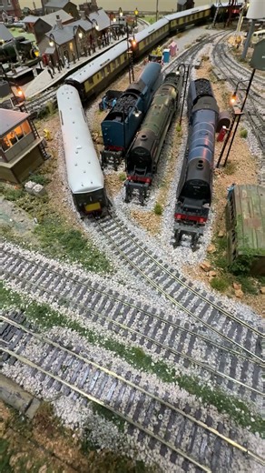 Brighton Belle passes the steam locomotives