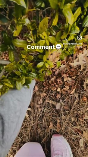 Stash is live! Share with someone in Raleigh NC #CashStash #raleighnc | stash