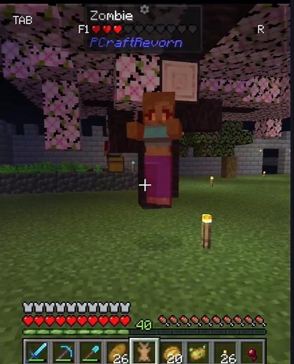 Minecraft: metal pipe falling mod + vore mod? #fy #minecraft #videogamememes