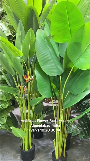 Customised design manufacturer premium ￼real touch Artificial plant #realtouchartificialplants