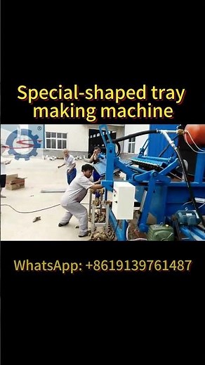 See How This Machine Makes Special-Shaped Paper Trays for Eco Packaging