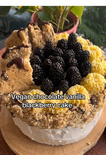 Vegan chocolate vanilla blackberry cake with chocolate chip cookies #cake #birthday #vegan #soyfree #fyp @Happy zoe vegan bakery