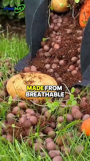 iToolMax on Instagram: "🙅♀️ No more guessing if your potatoes are ready!🙅♂️ No more breaking flimsy handles when moving bags! iToolMax Grow Bags fix it all: ✅ Dual harvest windows (check + pick easily!) ✅ Reinforced bottom-stitched handles (holds 30kg!) ✅ Non-woven fabric (drains well, roots breathe better!) ✅ Reusable + eco-friendly, fits tomatoes/onions/carrots too! Best value for home gardeners!Shop now → https://www.itoolmax.com/products/potato-grow-bags-with-dual-harvest-windows?_pos=1&_p