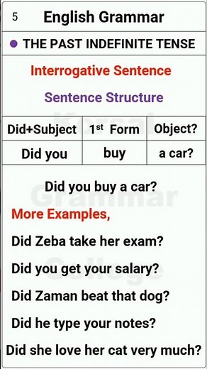 Interrogative Sentence | Past Simple Tense