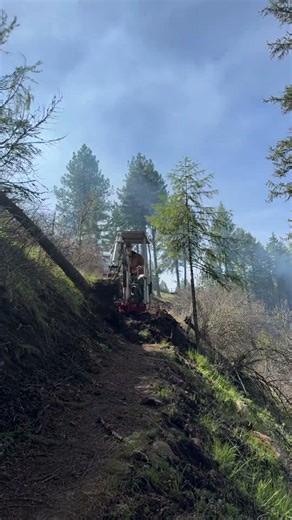#Mini excavator vs #Tree vs Camera