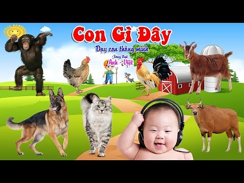 Con Gì Đây - Dạy Bé Đọc Tên Các Con Vật - Song Ngữ Anh Việt - Giúp Bé Thông Minh 2