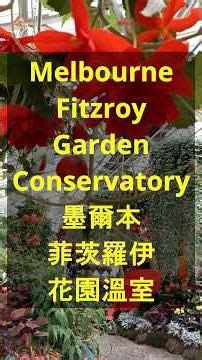 [Melbourne VLOG] Fitzroy Gardens Conservatory Summer Time 墨爾本菲茨羅伊花園溫室夏天萬花爭艷