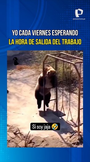 🤩Es viernes y el cuerpo lo sabe🥳 #meme #humor #viernes #findesemana #PanamericanaTV | Panamericana Televisión