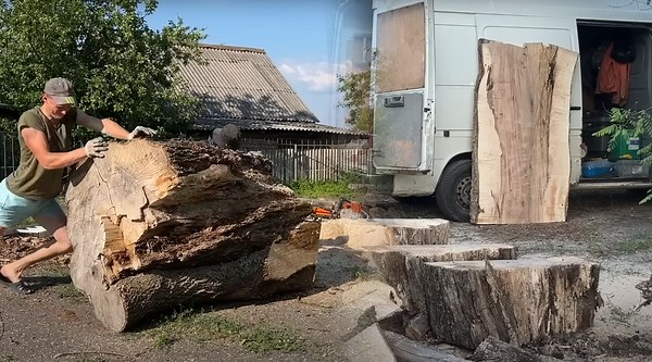 Unexpected Metal Discovery While Cutting a Maple Log