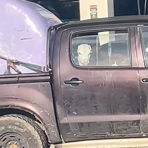 1.8M views · 11K reactions | Bit going on there  藍 | NZ Farming | Facebook