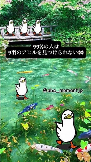 99%の人は9羽のアヒルを見つけられない👀 #findtheduck #クイズ #脳トレ #岐阜 #モネの池