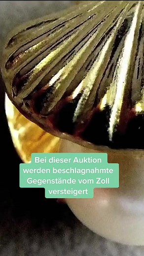 Würdest du beschlagnahmte Gegenstände ersteigern? #zoll #auktion #schmuck | Only Human Deutschland