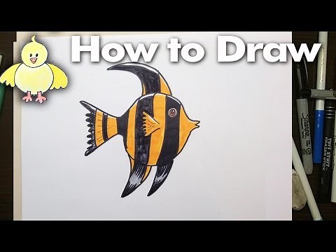 How to draw a Cartoon Angel Fish step by step!