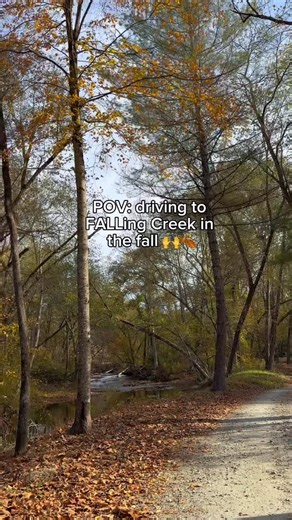 2.1K views · 69 reactions | Fall has come to Falling Creek! It’s peak week and the mountain is looking beautiful  Here’s what camp’s driveway looks like these days 朗 #leafpeeping #fallingcreek #fallfolliage | Falling Creek Camp | Facebook