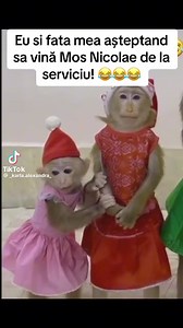 🙈😅😂 | Casa New Concept - lenjerii de pat