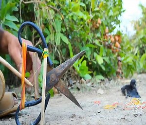 3.4K views | Amazing ! Giant Python swallowed a big deer | Alive Nature | Facebook