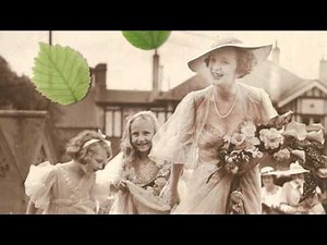 Free Falling Leaves Effects Download for ProShow