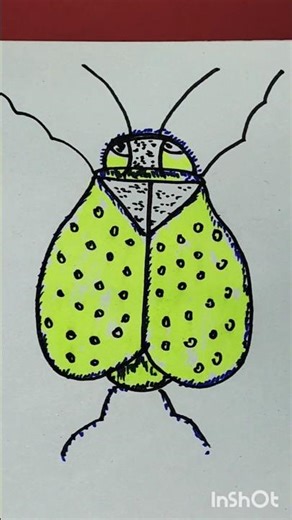 How to draw an insect from T