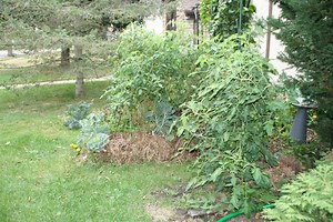 Straw Bale Garden Experiment a Success
