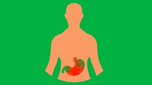 Cartoon Full Stomach Animation On Green 库存影片视频（100% 免版税）3524610325 | Shutterstock