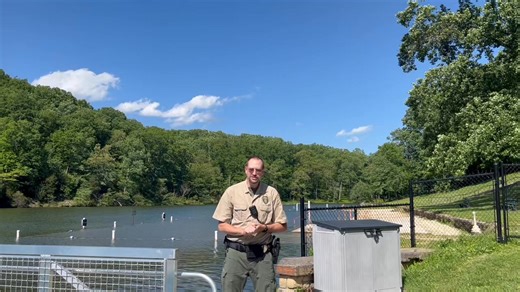 123K views · 748 reactions | The swim beach will open for season Friday at 9am. The beach will be open 9am-6pm through Labor Day. Come out and see us. | Montgomery Bell State Park | Facebook
