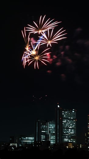 上丸子山王町の多摩川河川敷で「東京山の手ロータリークラブ40周年花火大会」開催、武蔵小杉の高層ビル前に鮮やか【動画あり】 | 武蔵小杉ブログ（武蔵小杉ライフ　公式ブログ）