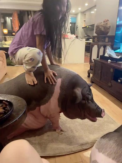 3 Ways to Raise Pigs for BIG Farmhouse Profits! 🐷💰 Want to turn pig farming into a highly profitable business? In this video, we’ll show you three powerful ways to raise pigs in a farmhouse setting and maximize your earnings. Whether you’re just starting out or already farming, these practical tips will help you boost your farm’s profitability while ensuring your pigs grow healthy and strong. We’ll cover: ✅ The best pig breeds for fast growth and high returns ✅ Feeding strategies to cut costs 