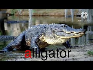 Starfall ABC’s Part 1 - A