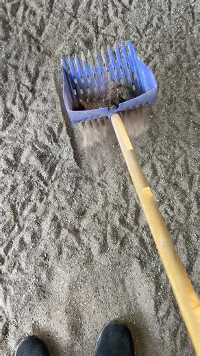 Transform Your Chicken Run with Sand