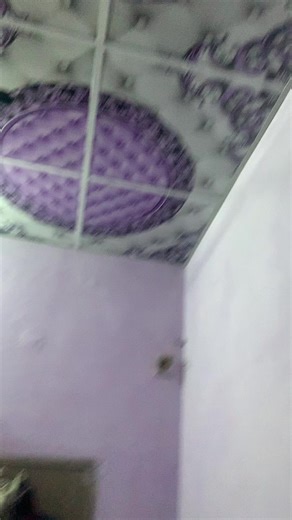 Funny Palace Video Compilation for Laughter