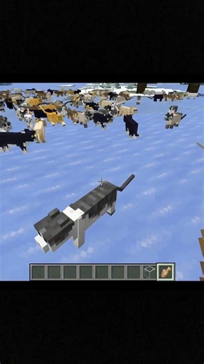 Cat distribution system in Minecraft