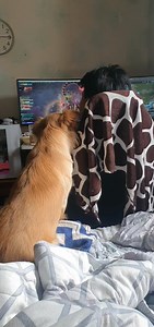 13K views · 75 reactions | Akala m0 tlg marunong mag computer eh | Park Dhebbie | Facebook