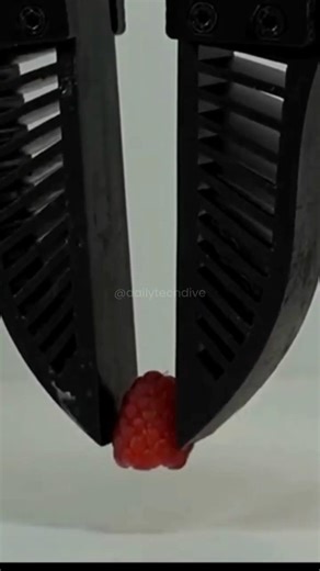 The Robot Hand With a Human Touch! 🦾🍅