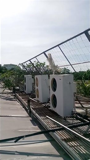 frost refrigeration and aircondioning service 09774513233