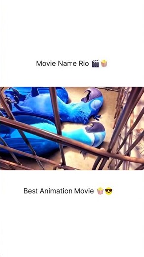 Movie Name Rio 🎥 Overview #animation #cartoon #cartoonhindi #cartoonmovie