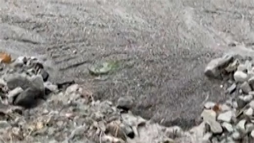 Mountain community in California struck by mudslides